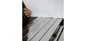 东正宏骏黑马人工计划(官方)网站